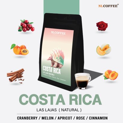 Costa Rica : Las Lajas (Natural)