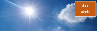 ต้อลม/ต้อเนื้อ