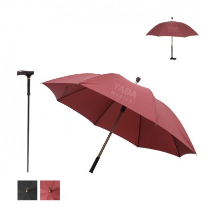 Umbrella Cane