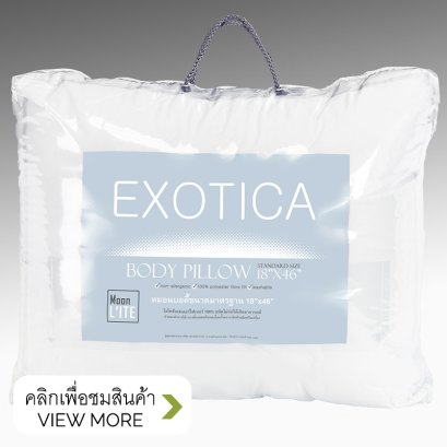EXOTICA หมอนบอดี้