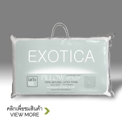 EXOTICA หมอนลาเท็กซ์โฟม