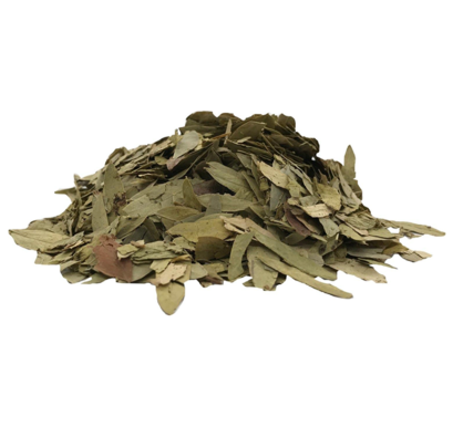 ใบมะขามแขก