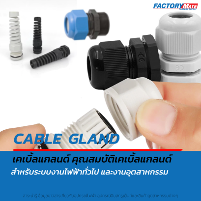 Cable Gland เคเบิ้ลแกลนด์คืออะไร? มีกี่ประเภท?
