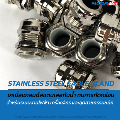 Cable Gland เคเบิ้ลแกลนด์สแตนเลสกันน้ำ Stainless Steel Cable Gland