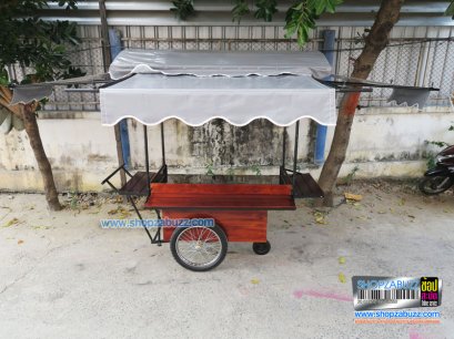 รถเข็นขายของ CTR - 209