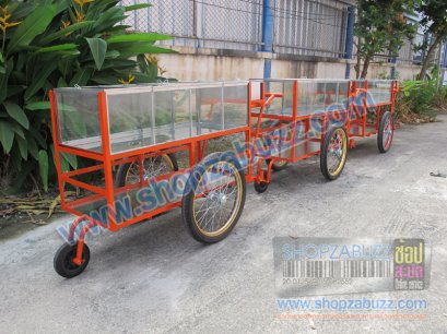 รถเข็นขายผลไม้ CTF - 4