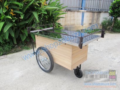 รถเข็นขายของทั่วไป CT - 17