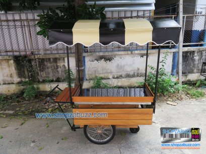 Thai Food cart with roof : CTR - 191