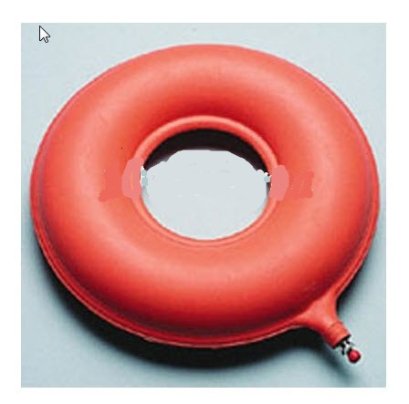 ห่วงยางรองนั่ง 17 นิ้ว 