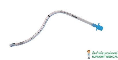 UNCUFFED POLARS PERFORMED TUBES - NORTH POLAR (NASAL RAE)