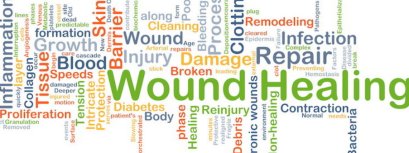 โภชนาการและการหายของแผล Nutrition Guidelines to Improve Wound Healing