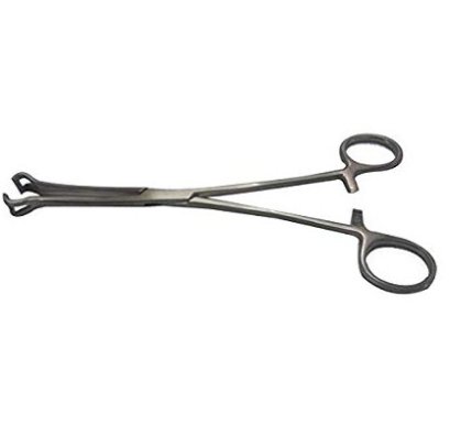 Babcock Tissue Forcep 20 cm (E52-0124) - EM
