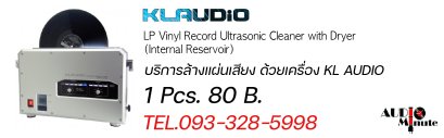 Vinyl Record Cleaner