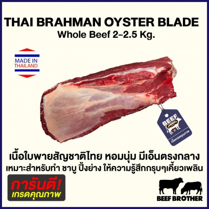 Oyster Blade Thaibrahman