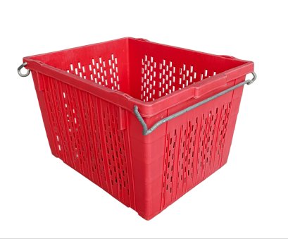 NO.2557(หูเหล็กใหญ่)