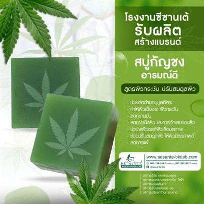 Hemp Soap (สบู่กัญชง) / 70 g.