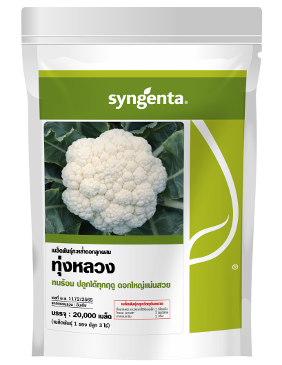 กะหล่ำดอกทุ่งหลวง