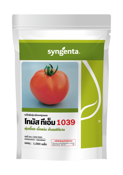 มะเขือเทศโทมัส ทีเอ็ม 1039 Tomato Tomas TM 103939