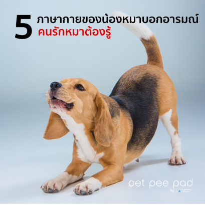 ภาษากายน้องหมา