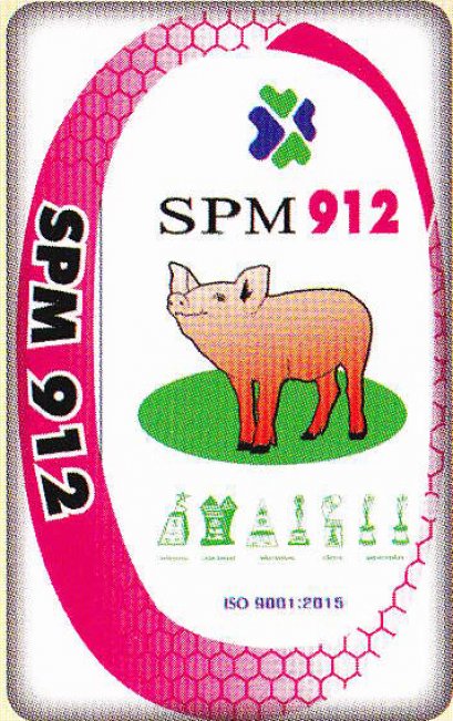 SPM 912