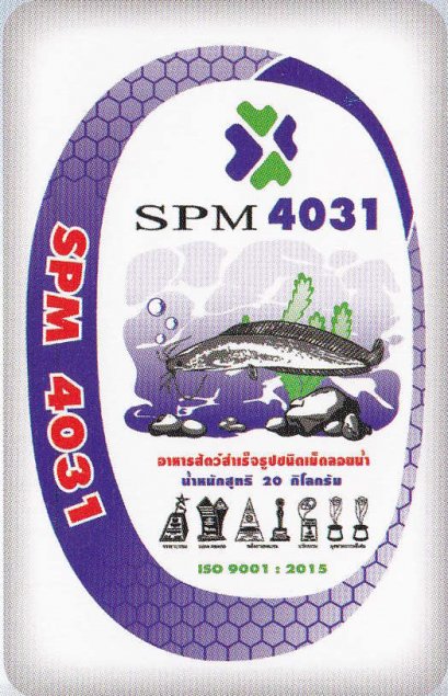 SPM 4031