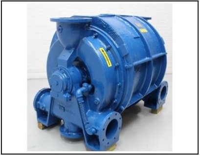 Liquid ring vacuum pump