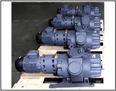 Roots vacuum & pressure pump