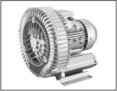 Ring blower vacuum & pressure pumps