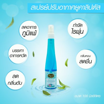 Eucalyptus Air Freshener Spray