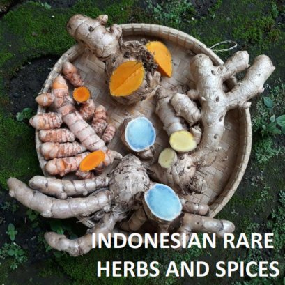 AYO MART - PT. Ayo Natura Internasional