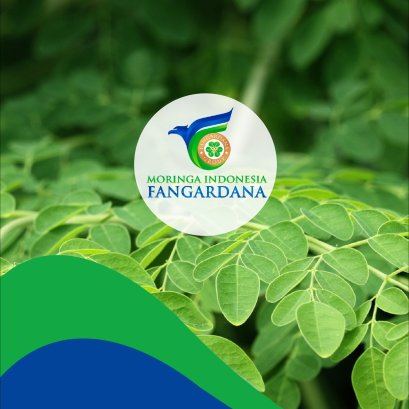 MORIFA - PT Moringa Indonesia Fangardana