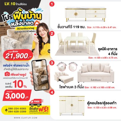 ฟื้นบ้านหลังน้ำลด LV10