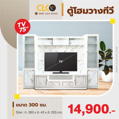 ตู้โฮมเธียเตอร์ 300 ซม.