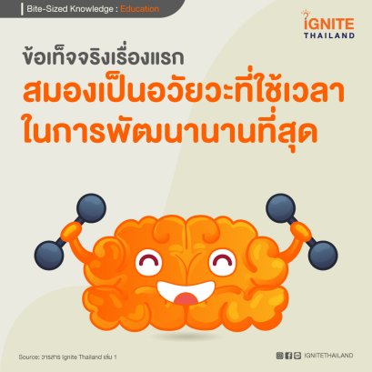 ข้อเท็จจริงเกี่ยวกับสมองของเด็ก