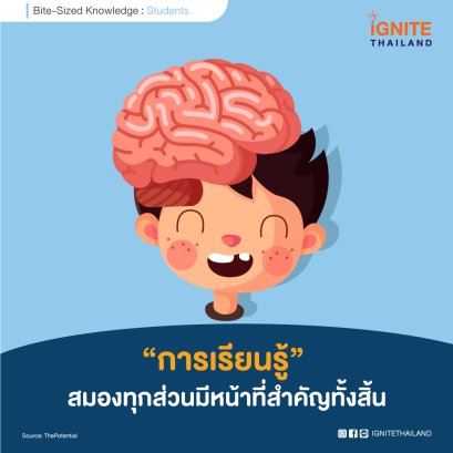 ใน “การเรียนรู้” สมองทุกส่วนมีหน้าที่สำคัญทั้งสิ้น