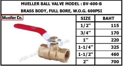 ิิball v. BV-600-B