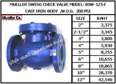 CHECK V. BSW-125-F