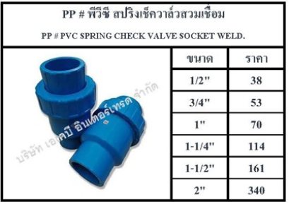 PP # พีวีซี สปริงเช็ควาล์วสวมเชื่อม