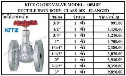 GLOBE VALVE MODEL : 10SJBF 