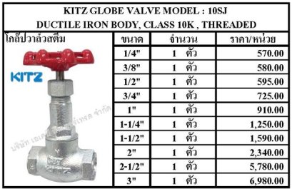GLOBE VALVE MODEL : 10SJ 