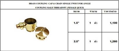 CAP & CHAIN สำหรับ ANGLE V.