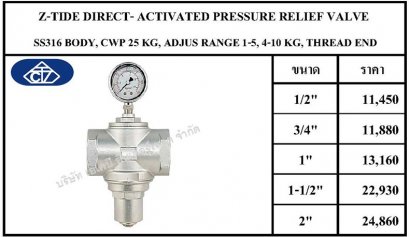 PRESSURE RELIEF SS316