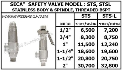SAFETY VALVE