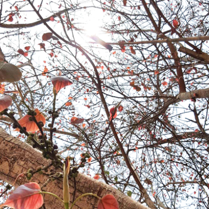 ทำไมเราต้องฝึกจิต