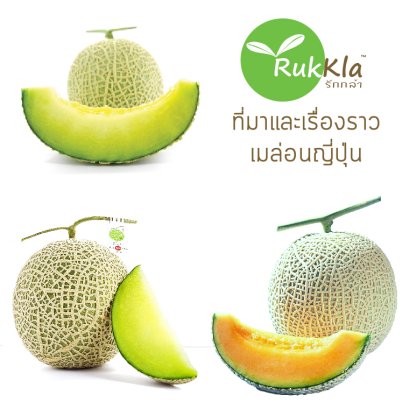 มารู้จักเรื่องราวและประโยชน์ของเจ้าเมล่อนญี่ปุ่นกันครับ