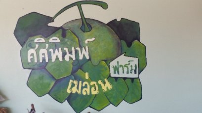 ศศิพิมม์เมล่อนฟาร์ม มหาชัย สมุทรสาคร