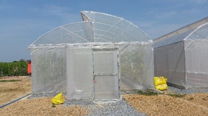 ฟาร์ม ๙ เมล่อน สยามกรีนฟาร์ม นครปฐม