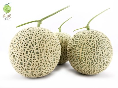 เมล็ดพันธุ์เมล่อนญี่ปุ่นคิโมจิ