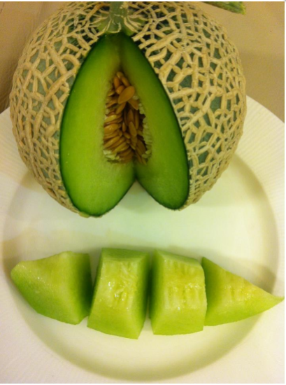 วิธีการเตรียมดินในการปลูกเมล่อนคิโมจิ (Kimoji)