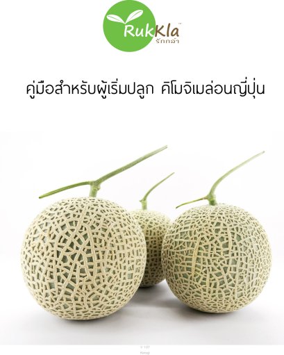 คู่มือการปลูกเมล่อนคิโมจิ